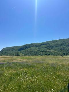 Home Delic Komarnica - Šavnik - 5