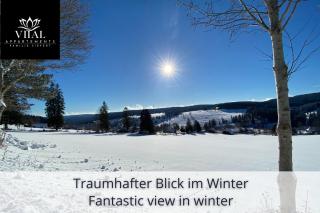 Appartement zur Birke - Obertal - 2