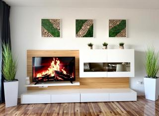 Appartement zur Birke - Obertal - 0