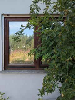Kleine Sonnenstrahl-Oase - Frielendorf - 7
