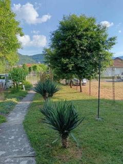 Sobe Paunović - Soko Banja - 6