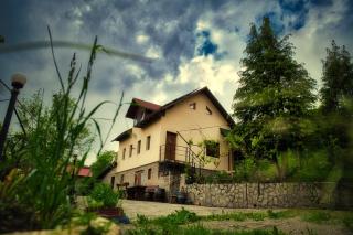 Casuta din Padure - Călimăneşti - 0