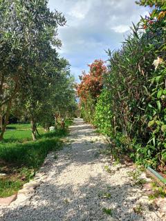Riviera bungalow evleri demre - Demre - 7