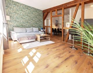 Apartment DOM VI - Erfurt Domplatz - Erfurt - 0