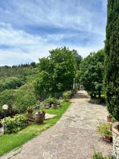 Agriturismo Tassinaia - Pontassieve - 5