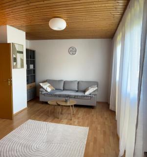 Black Forest Apartments II - Lenzkirch - 7