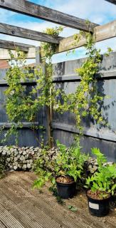 Your 4 Bedroom Townhouse - Superking Bed - Stamford - 9