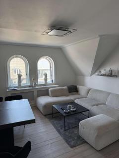 Big Frederiksberg apartment - Copenhagen - 8