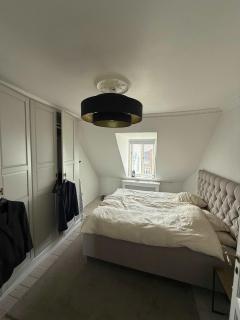 Big Frederiksberg apartment - Copenhagen - 7