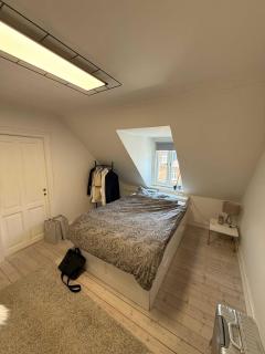 Big Frederiksberg apartment - Copenhagen - 6