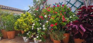 Apartamentos Los Descalzos Ángel With Private Terrace Free Parking - Ronda - 1