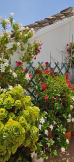 Apartamentos Los Descalzos Ángel With Private Terrace Free Parking - Ronda - 4