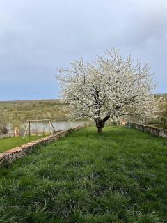 Appartement spacieux avec vue sur la Moselle - - 0
