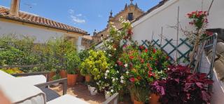 Apartamentos Los Descalzos Ángel With Private Terrace Free Parking - Ronda - 6