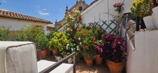 Apartamentos Los Descalzos Ángel With Private Terrace Free Parking - Ronda - 7