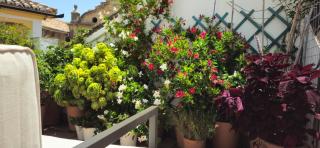 Apartamentos Los Descalzos Ángel With Private Terrace Free Parking - Ronda - 8