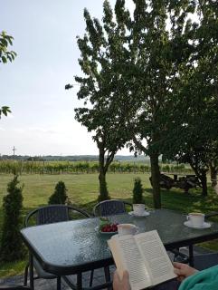 Domki w Winnicy - Świętokrzyska Winnica Knapów - 8