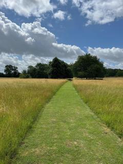 The Goose In The Woods - Wellesbourne - 5