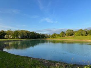 The Goose In The Woods - Wellesbourne Hastings - 9