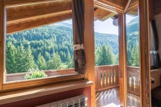 Chalet Primula - Santa Caterina Valfurva - 2