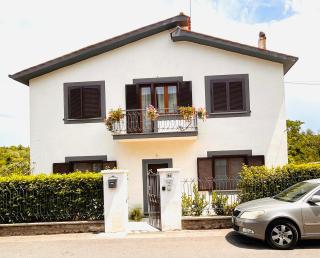 Paloma nel bosco - 1