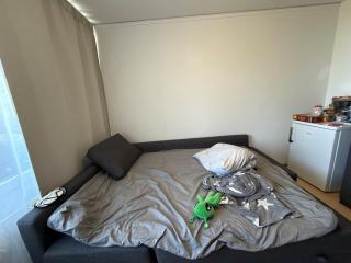 Bright Studio Near City & Nature - Monaco di Baviera - 3