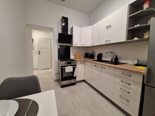 Krynicki Lotos Apartament przy deptaku - Krynica-Zdrój - 5