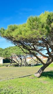 Casa Sol e Mar by Férias em Figueira - Figueira da Foz - 9