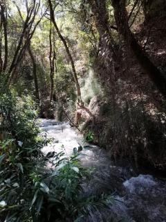 Habitaciones las cascadas - Valle de Bravo - 5
