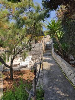 House Rasohatica Tare - Korčula (Curzola) - 5