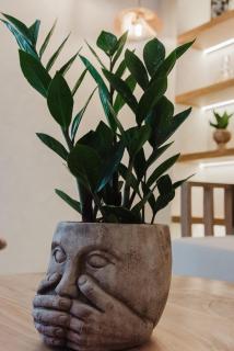 Evexia boutique hotel & Spa - Agia Marina - 4