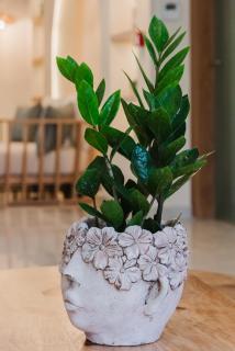 Evexia boutique hotel & Spa - Agia Marina - 1