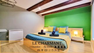 Splendide Appartement Barr - Route du Vins - Barr - 0