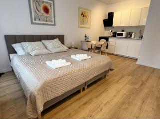 Apartament Przedzamcze Malbork - 8