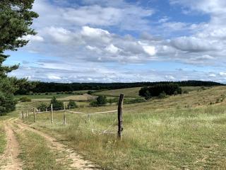 Helle Loft mit eingenem Garten - Templin - 9