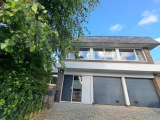 Chang - Egmond aan den Hoef - 0
