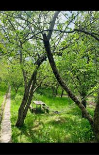 Khndzoresk Guest House - Goris - 5