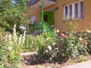 Vila Spas - Mataruška Banja - 1