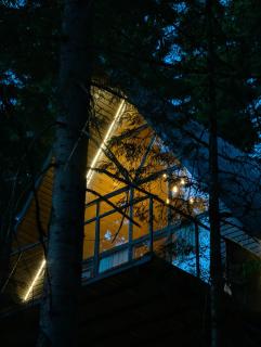 Small Forest - Batumi - 9