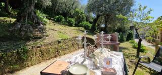 Giardino D'amore By Belcanto Villas - Piano di Mommio - 7