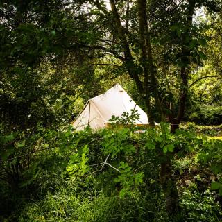 Slow Life Sweden - Nature Nesting Tent - - 1
