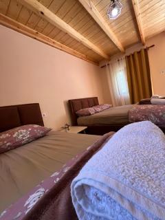 Guest House Shtëpiza Theth - Theth - 7