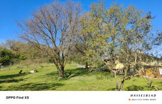 Il Melarancio B&B - Monterosi - 9