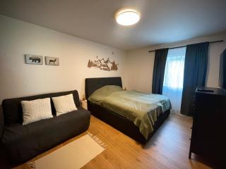 Apartmán Plešivec - Merklín - 6