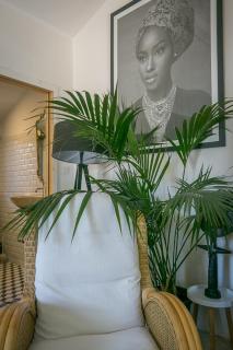 Villa Des oliviers - Le Beausset - 2
