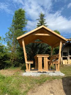 Cabana Lapina - Dorna-Arini - 7