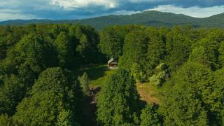 Somova gora chalet in the woods - Kočevje - 9