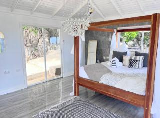 Lush Coastline Villa with Swim out Pool - Treasure Beach - 9