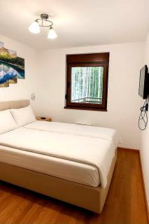 MAGIC23 Apartment with Free SPA Zlatibor - Zlatibor - 4