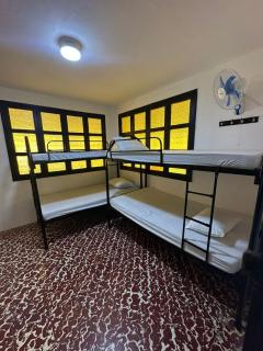 Hostal Casa Veracruz - León - 7